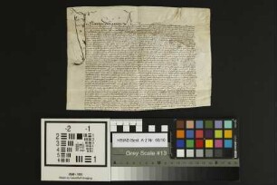 Gau-Bischofsheim: Locatio monast. St. Jacobi Mog. bonor. suor. in Gau-Bischofsheim