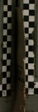 Diarii, Aus dem Kays. Feld-Lager bey Ettlingen vom 10. biß 17. Octobr. 1707