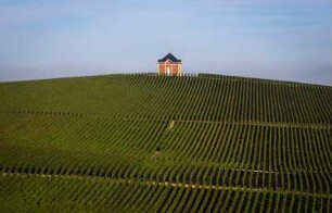 Frankreich. Champagne Ardenne. Marne. Avize. Nähe. Weinberg und kleines Haus