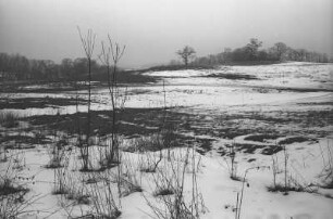 Der Park von Burg Schlitz