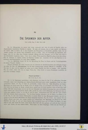 Die Spermien der Affen.