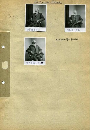 Portraitserie Ferdinand Schrey