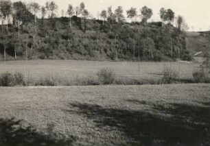 Wallburg : Höfgen, Wallburg, Südhälfte von Westen
