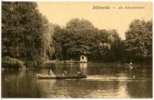 Mittweida. Am Schwanenteich