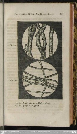 Fig. 13. Flachs, von mir in Balsam gesehen. Fig. 14. Flachs, allein gesehen.
