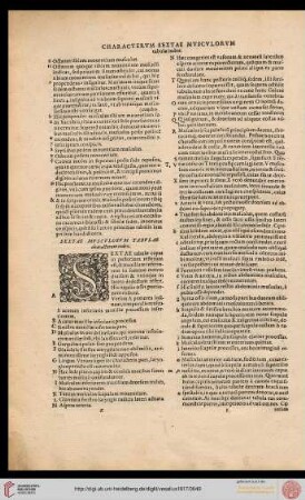 Characterum sextae musculorum tabulae index