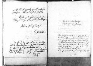 Maximilian von Bodman, Kork, an Johann Baptist Bekk: Unterredung mit dem Präsidenten des Verwaltungsrates in Straßburg, 17.03.1848, Bl. 69 - 70.
