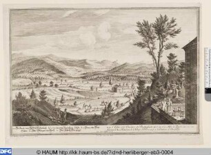 Die Kirch und Hoff zu Rickenbach
