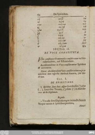 Sectio II. De Voce Constituta.