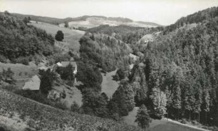 Sächsische Schweiz. Ottendorfer Räumicht gegen Wachberg