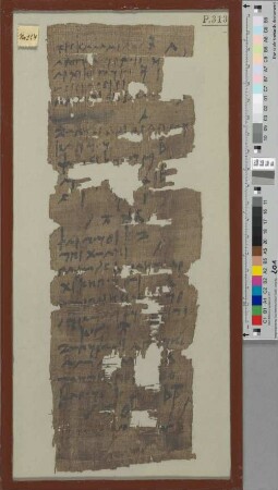 Fragment eines Zenon-Papyrus
