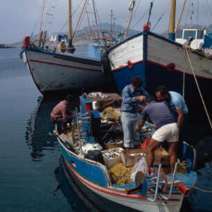 Furni-Inseln. 30km2. Fischverkauf im Hafen