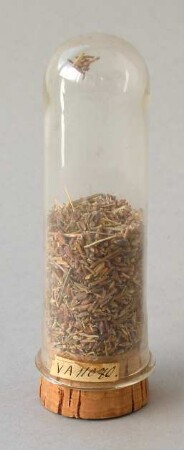 Röhrenglas mit Kräuter