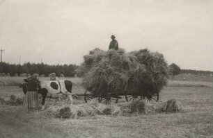 Ochsengespann mit Erntewagen bei Maukendorf : Wolacy zapřah ze žnjenskim wozom blisko Mučowa