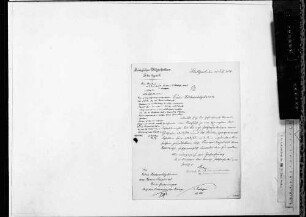 Studierende und Miszellen (1884-1910)