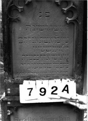 Grabstein 792 (Index: 100099466) Maße HxBxT: 148x49x13 cm Symbolik: Rosenzweig: Grabstein 792A