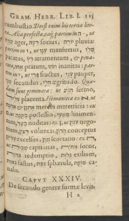 Caput XXXIV. De secundo genere formae levis.