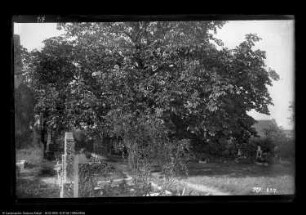 Rössen, Friedhof