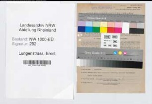 Entnazifizierung Ernst Lungenstrass, geb. 21.05.1892 (Vertreter)