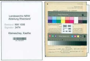 Entnazifizierung Kaethe Kleineschay , geb. 11.02.1897 (Landwirtin)