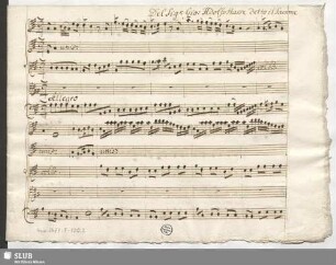 Leucippo. Excerpts - Mus.2477-F-120,2 : T, strings, bc