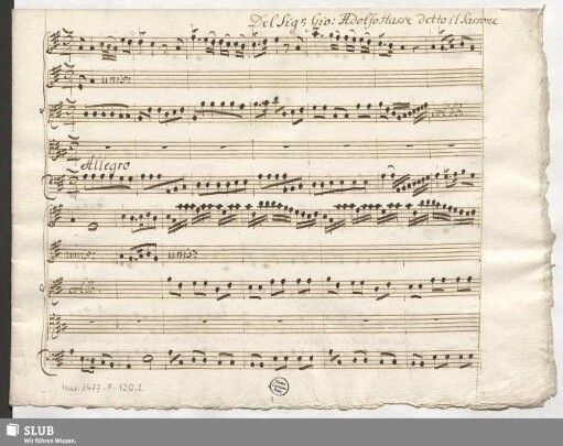 Leucippo. Excerpts - Mus.2477-F-120,2 : T, strings, bc