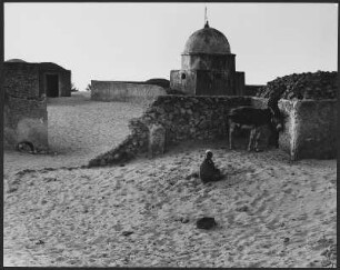 Oase der Souf-Region : Kind und Krugesel in einer Siedlung an einer Oase der Souf-Region in der Nähe der algerischen Stadt El Oued.