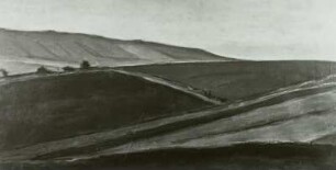 Frühlingserwachen
