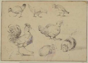 Studienblatt mit Hühnern und Katzen