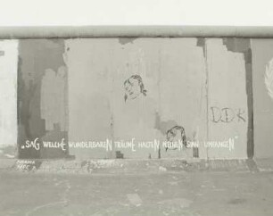 Sag, welch wunderbare Träume... : Sag, welch wunderbare Träume...Bild 77 der East Side Gallery