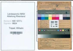 Entnazifizierung Wilhelm Trippel , geb. 21.01.1904 (Technischer Betriebsangestellter)