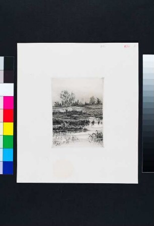 Landschaft