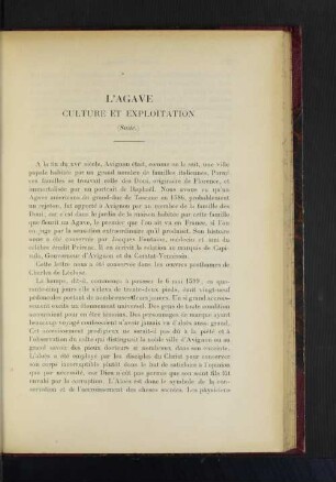 L'Agave Culture Et Exploitation.