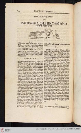 Das XXXIV. Capitel. Von dem Vögelein Colibry und andern fremden Feder-Vieh