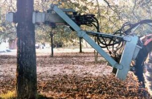 Fotografie: Obstbau, Erntetechnik, Beerenobst
