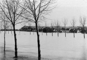 Hochwasser Heilbronn oberhalb Neckargartacher Brücke