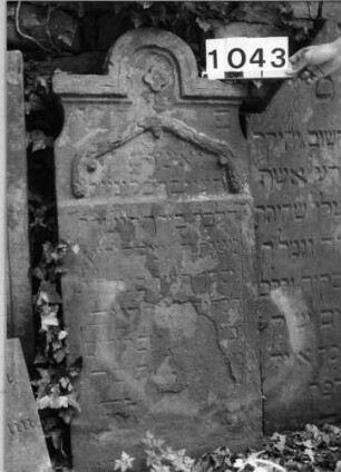 Grabstein 1043 (Index: 99630546) Material: Sandstein Zustand: stark abgeblättert mit Textverlust Maße HxBxT: 116x51x11 cm Beschreibung: Stele mit eingezogenem Rundbogenabschluß Symbolik: Girlande, vierblättrige Blüte: Grabstein 1043