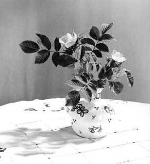 Blumen und Blüten in diversen Vasen. Hundsrosenzweig in Keramikvase