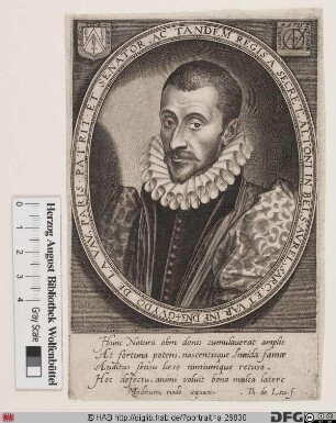 Bildnis Guy de Lavau