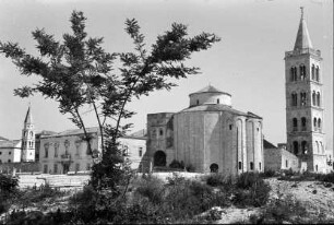 Zadar: Trg Zeleni, Rundkirche St. Donatus und Domturm