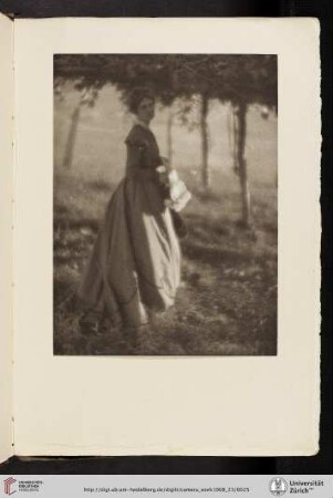 [Clarence Hudson White, III. The Arbor, photogravure from original negative]