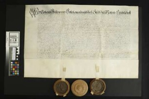 Gau-Bickelheim: Erzbischof Johann Philipp überläßt mit Zustimmung des Domkapitels das Dorf Gau-Bickelheim dem Ritter Philipp Erwin v. Schönborn an...
