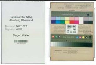 Entnazifizierung Walter Dinger , geb. 10.02.1908 (Kaufmann)