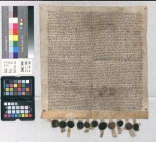 Bischof Simon von Paderborn verpfändet für 624 Mark Bernd van Holthusen und dessen Sohn Bernd sowie den Brüdern Bertold und Helmbert van Natesungen die Burg Vörden bei Nieheim. Bürgen unter Verpflichtung des Einlagers in Brakel: Cord van Luthardissen, Johann van Oyenhusen to der Oldenborch, Borchard van dem Koven, Werner van Zunreke, Johann van Verne de iunge, Herman de Schildere, zeligen Cordes Zone, unde Albert van Haxthusen (Mit dem Revers Bernds van Holthusen und seines Sohnes Bernd sowie der Brüder Bertold und Helmbert van Natesungen).