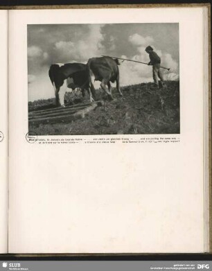 .. und zieh´n am gleichen Strang