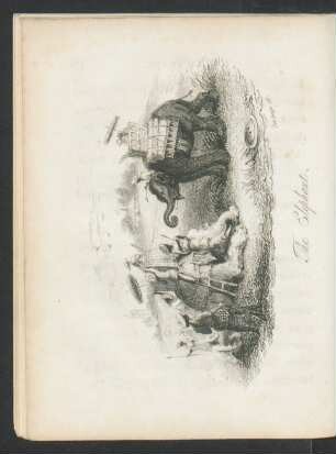 Tafel: The Elephant.