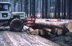 Fotografie: Forsttechnik, Seilwinde, Transport, Aufbereitung