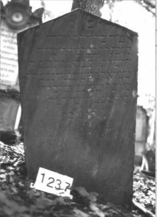 Grabstein 1237 (Index: 99900031) Material: Sandstein Zustand: angewittert Maße HxBxT: 112x61x17 cm Beschreibung: Stele mit Dreiecksabschluss: Grabstein 1237