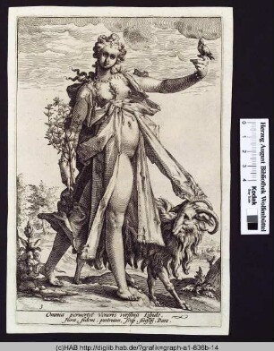 Die Wollust