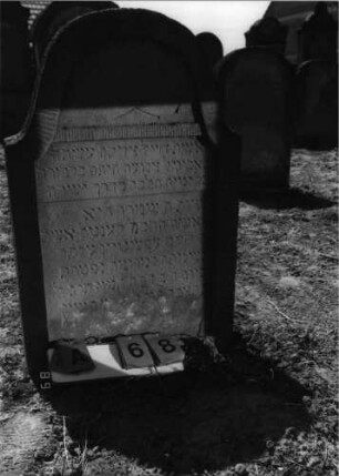 Grabstein 68 (Index: 99798192) Material: Sandstein, rot Zustand: leicht verwittert Maße HxBxT: 91x60x11 cm Beschreibung: Stele, geschweifter Abschluß Symbolik: gekreuzte Palmzweige: Grabstein 68A